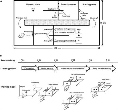 Prefrontal Dopaminergic Regulation of Cue-Guided Risky Decision-Making Performance in Rats
